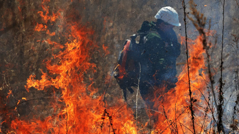 В Воронежской области произошёл природный пожар на площади 15 га