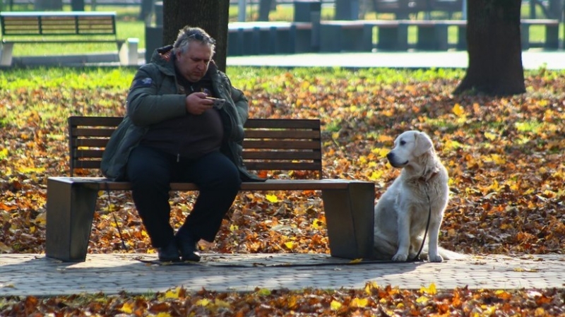 Прошедший октябрь назван самым тёплым в Москве