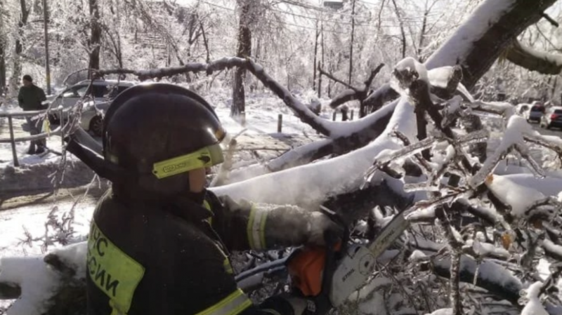 Восстановление электросетей в Приморье займёт ещё более недели