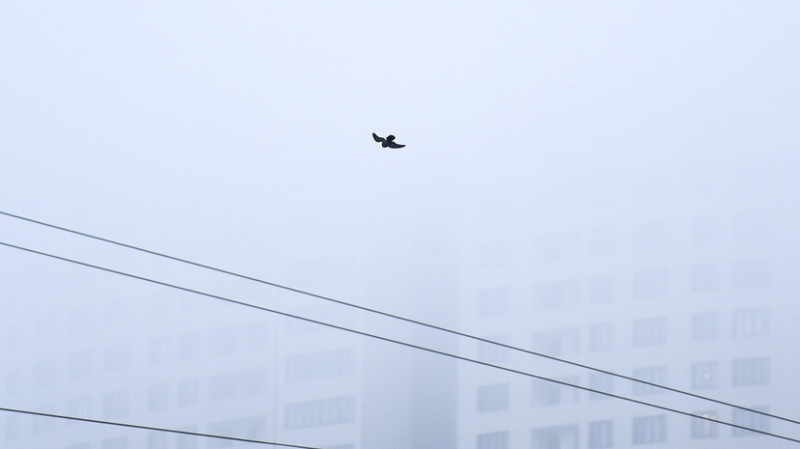 В Татарстане ожидаются облачная погода и туман