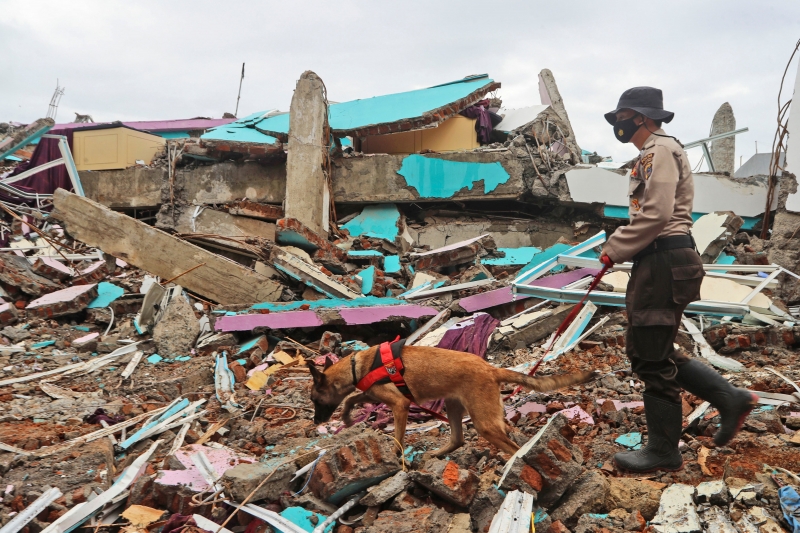 Число жертв землетрясения в Индонезии приблизилось к 80 