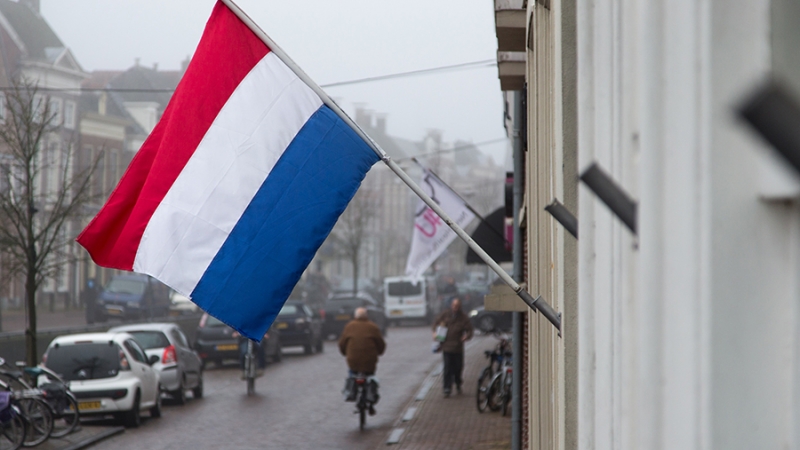 Правительство Нидерландов ушло в отставку из-за скандала с детскими пособиями