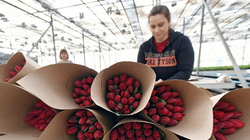 Россиянки назвали самые популярные подарки от работодателей на 8 Марта