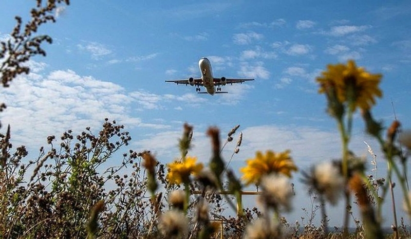 Цены на авиабилеты на чартерные рейсы в России могут быть снижены за счет программы субсидирования