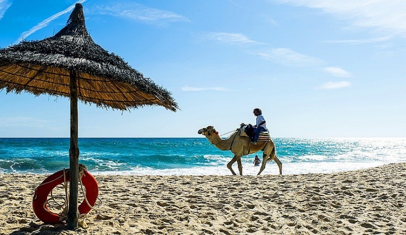 Тунис вводит карантин для иностранных туристов с 3 по 16 мая