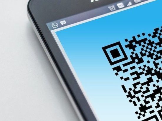 Почти треть россиян поддерживает введение QR-кодов на транспорте