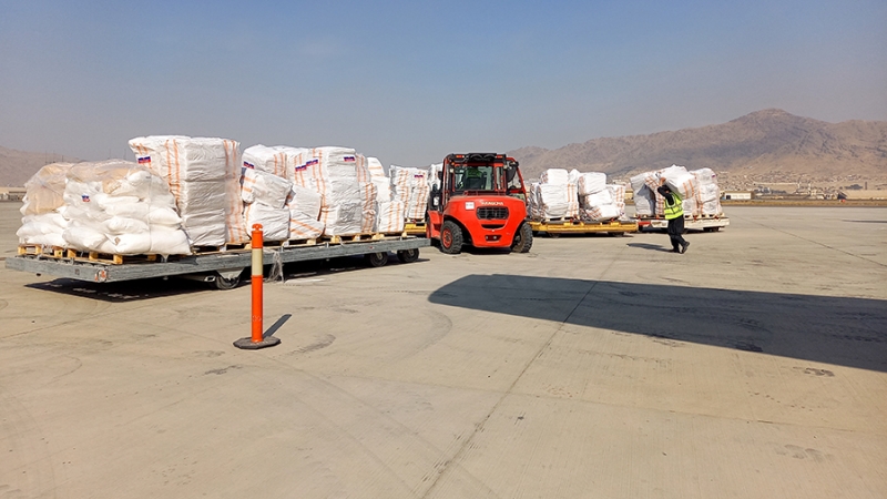 Самолеты МО прибыли в Кабул с 36 т гумпомощи