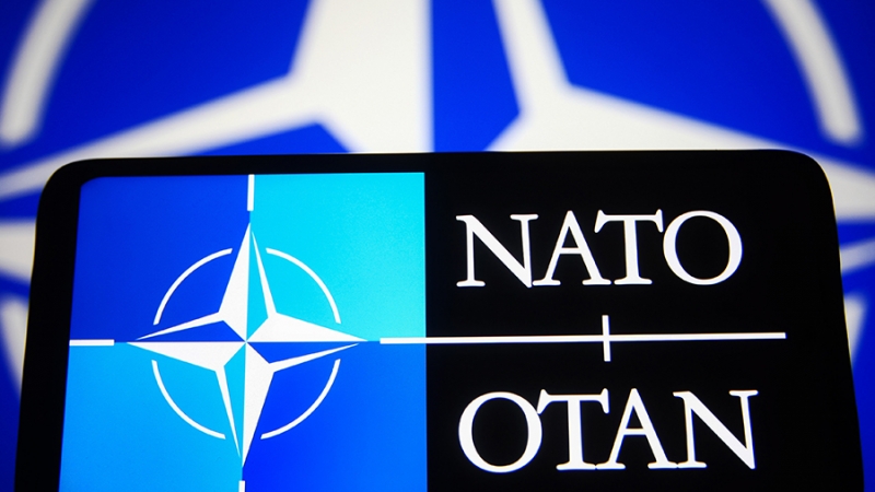 В Грузии 20 марта начнутся совместные с НАТО компьютерные учения