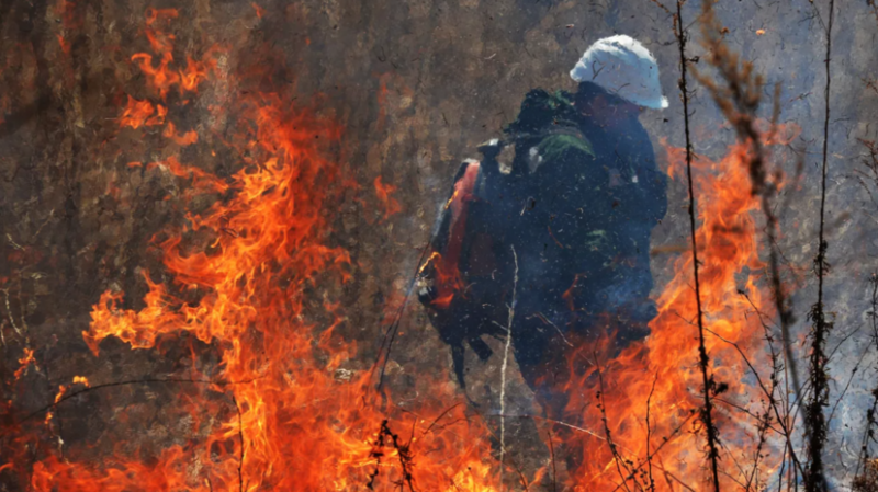 Пожар в заповеднике в Башкирии локализован