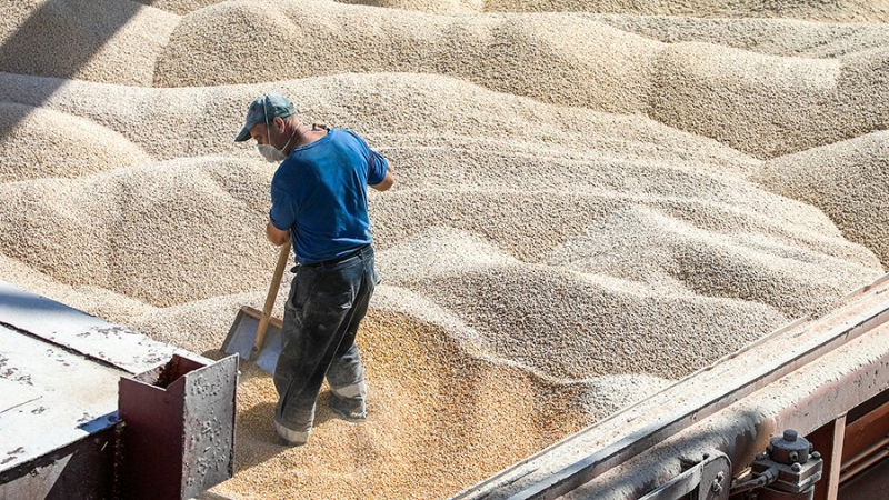 МИД отверг заявления о якобы препятствовании РФ вывозу зерна с Украины
