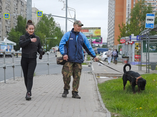 Вводятся беспрецедентные штрафы за  домашних питомцев: зоозащитники оценили последствия