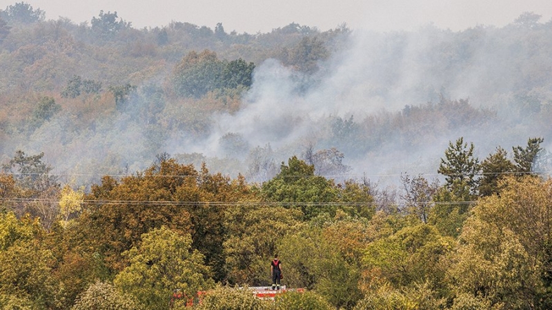 В Словении произошел крупнейший лесной пожар в истории страны