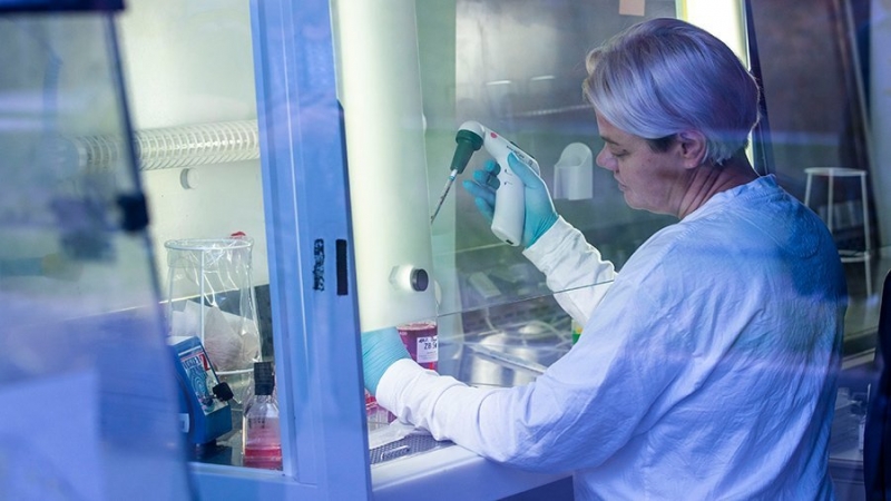 Совбез ООН не одобрил резолюцию РФ о расследовании в отношении биолабораторий США