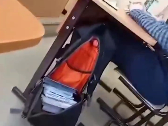 В подмосковном лицее учителя обыскали рюкзаки старшеклассников: пытались найти вейпы