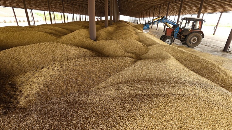 Страны G7 подтвердили «исключительную важность» реализации зерновой сделки