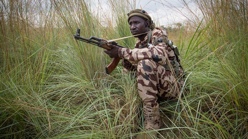Эксперт объяснил природу конфликта между ДР Конго и Руандой