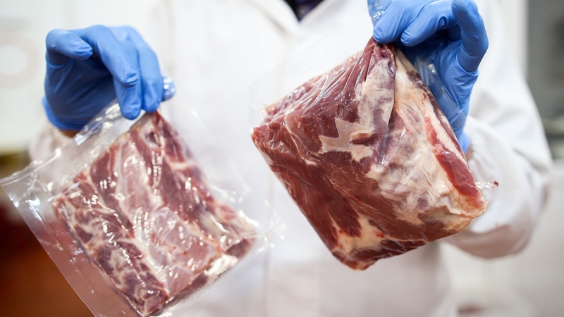 В аэропорту Ганновера у приезжей из Африки конфисковали 40 кг тухлого мяса