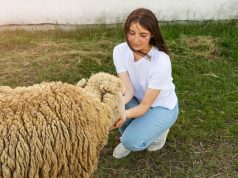 К чему снится белая овечка женщине