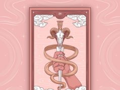 Значение карты Аист в ленорман