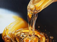 Пошаговая инструкция по замене вариаторного масла – продлеваем жизнь вашему CVT